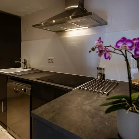 Duplex 6 Pieces Pour 12 Pers. Avec Terrasse Sud, Spa, Sauna Et Garage - Valloire, Les Verneys - Fr-1-263-359 Valloire